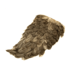 fishingcape-Indian-Hen-Saddle-High-Quality-Feathers-for-Fly-Tying