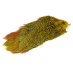 Fishingcape-pheasant-rump-patch-fly-tying-feathers